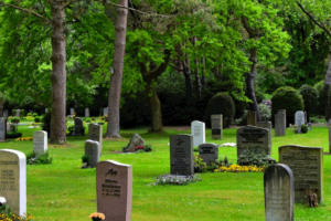 a scene of a graveyard with numerous tombstones. Some are new and some are aged. This photo is on www.becomingstoic.net in a post called "We All Die".